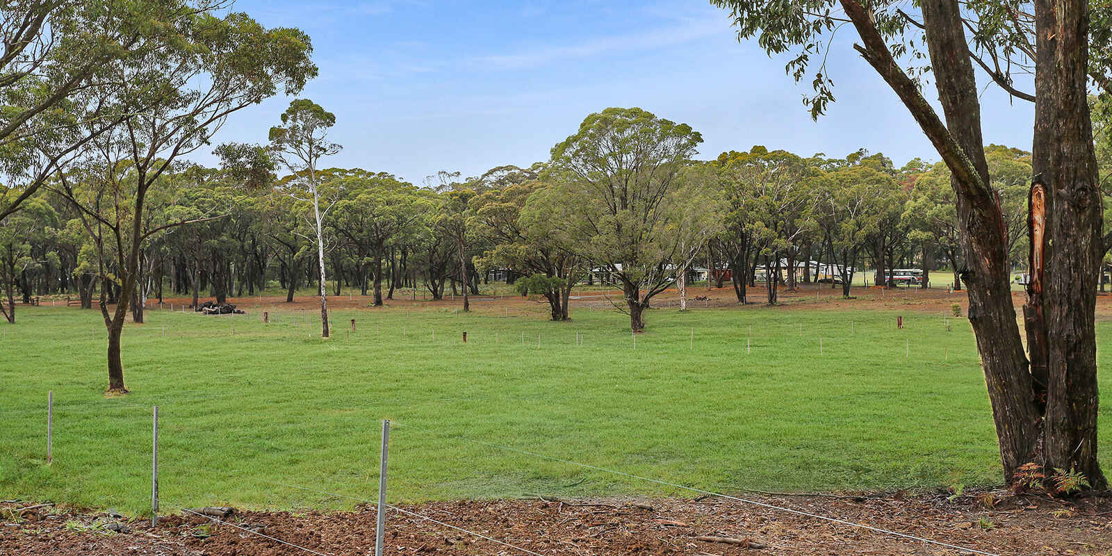  Wildwood/Nandi/Wattlebird Wingello