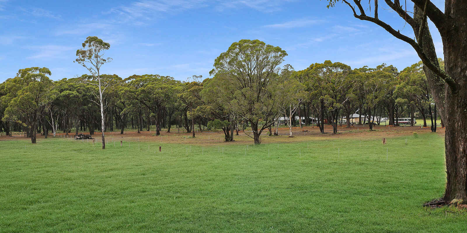  Wildwood/Nandi/Wattlebird Wingello