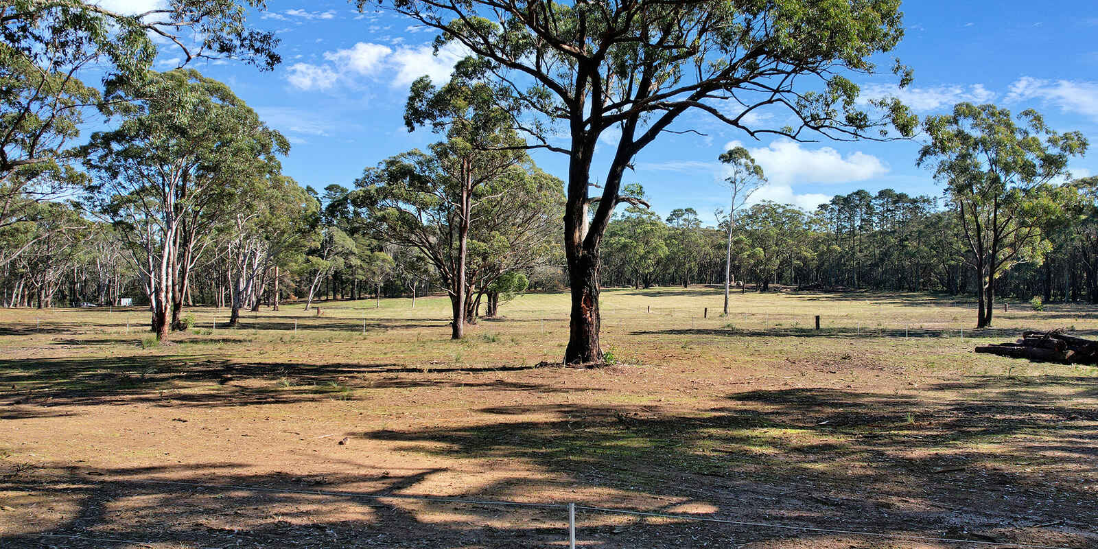  Wildwood/Nandi/Wattlebird Wingello