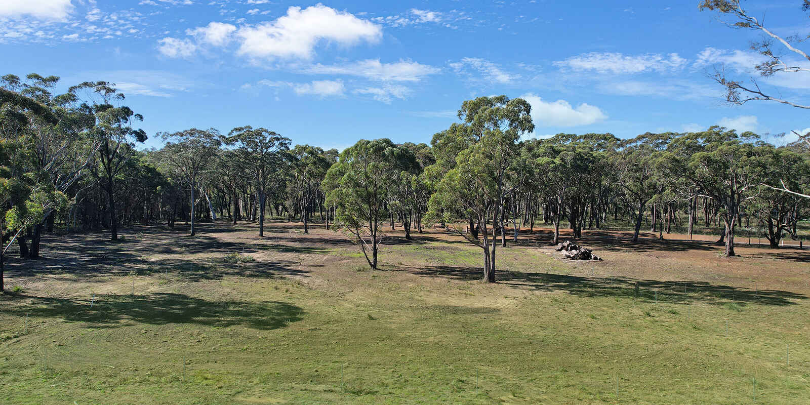  Wildwood/Nandi/Wattlebird Wingello
