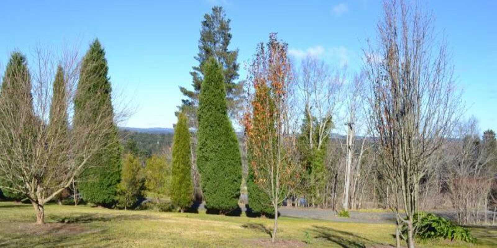 7 Orchard Road Bowral