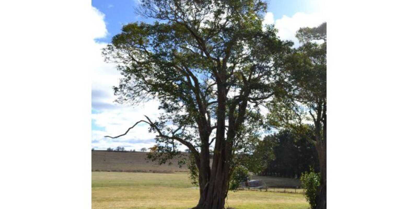 7496 Illawarra Highway Sutton Forest