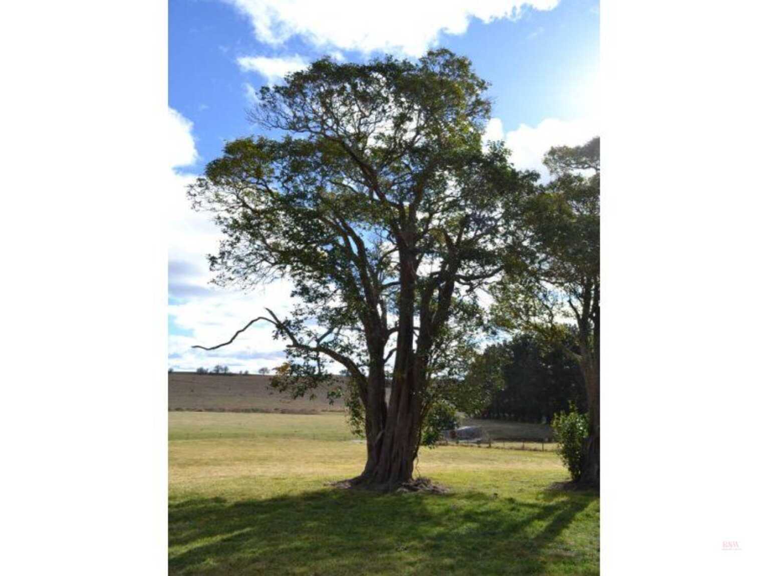 7496 Illawarra Highway Sutton Forest