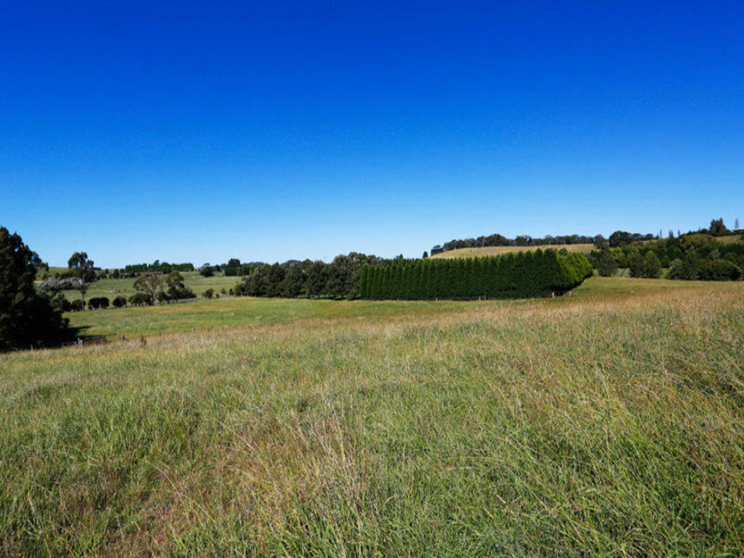 90 Yarrawa Road Moss Vale