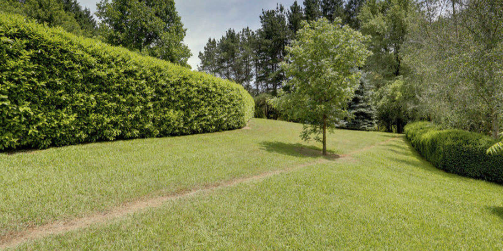 377 Ellsmore Road Exeter