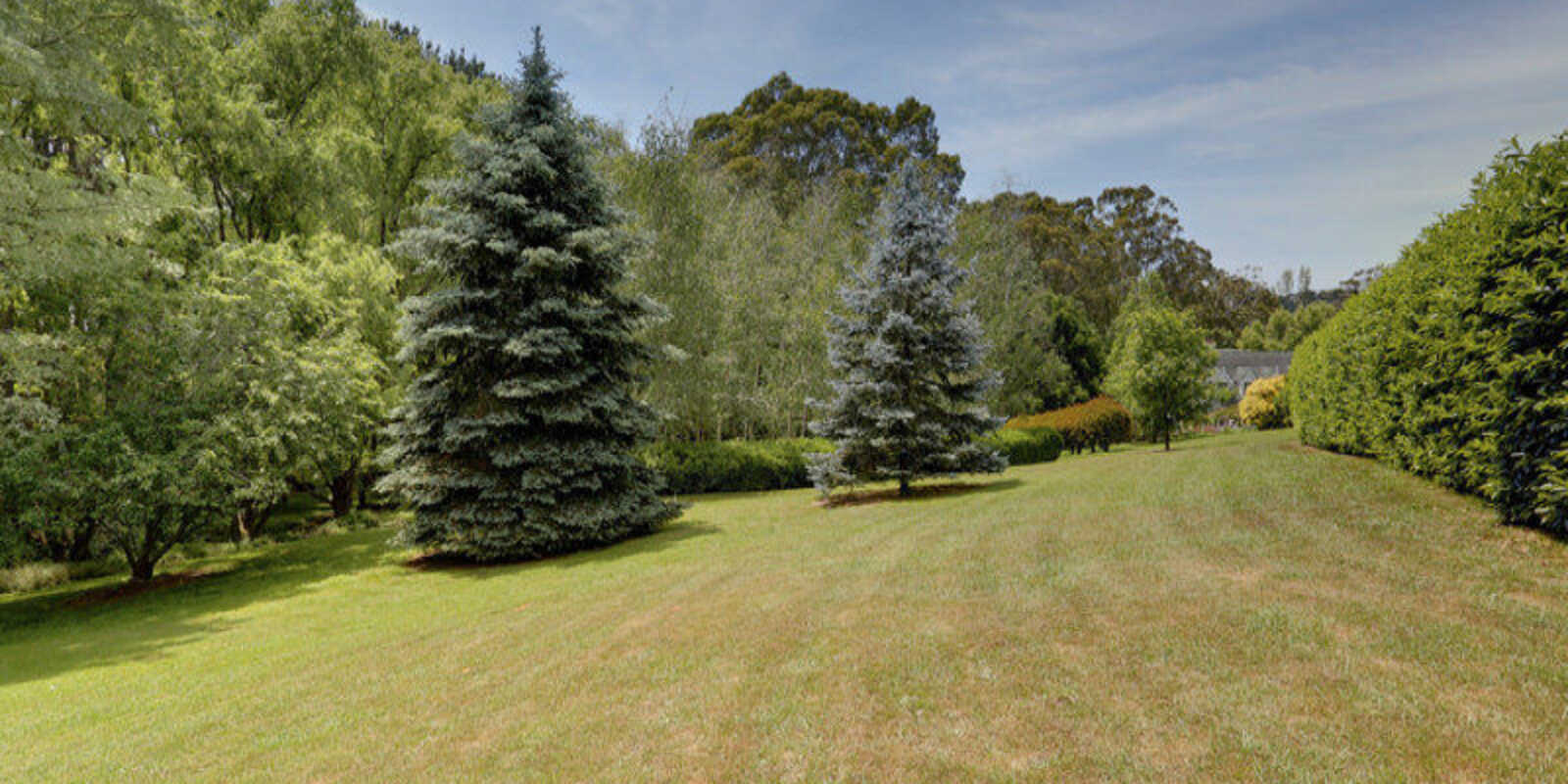 377 Ellsmore Road Exeter