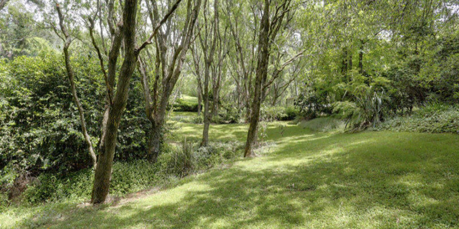 377 Ellsmore Road Exeter