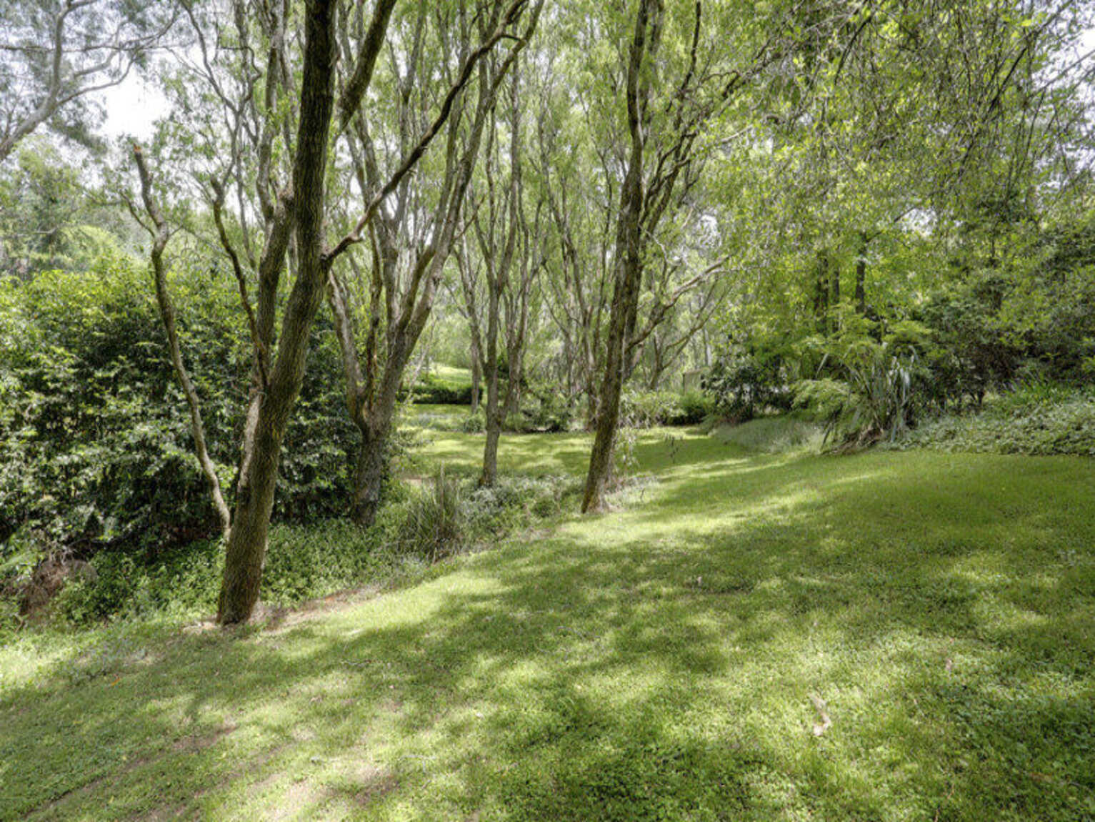 377 Ellsmore Road Exeter