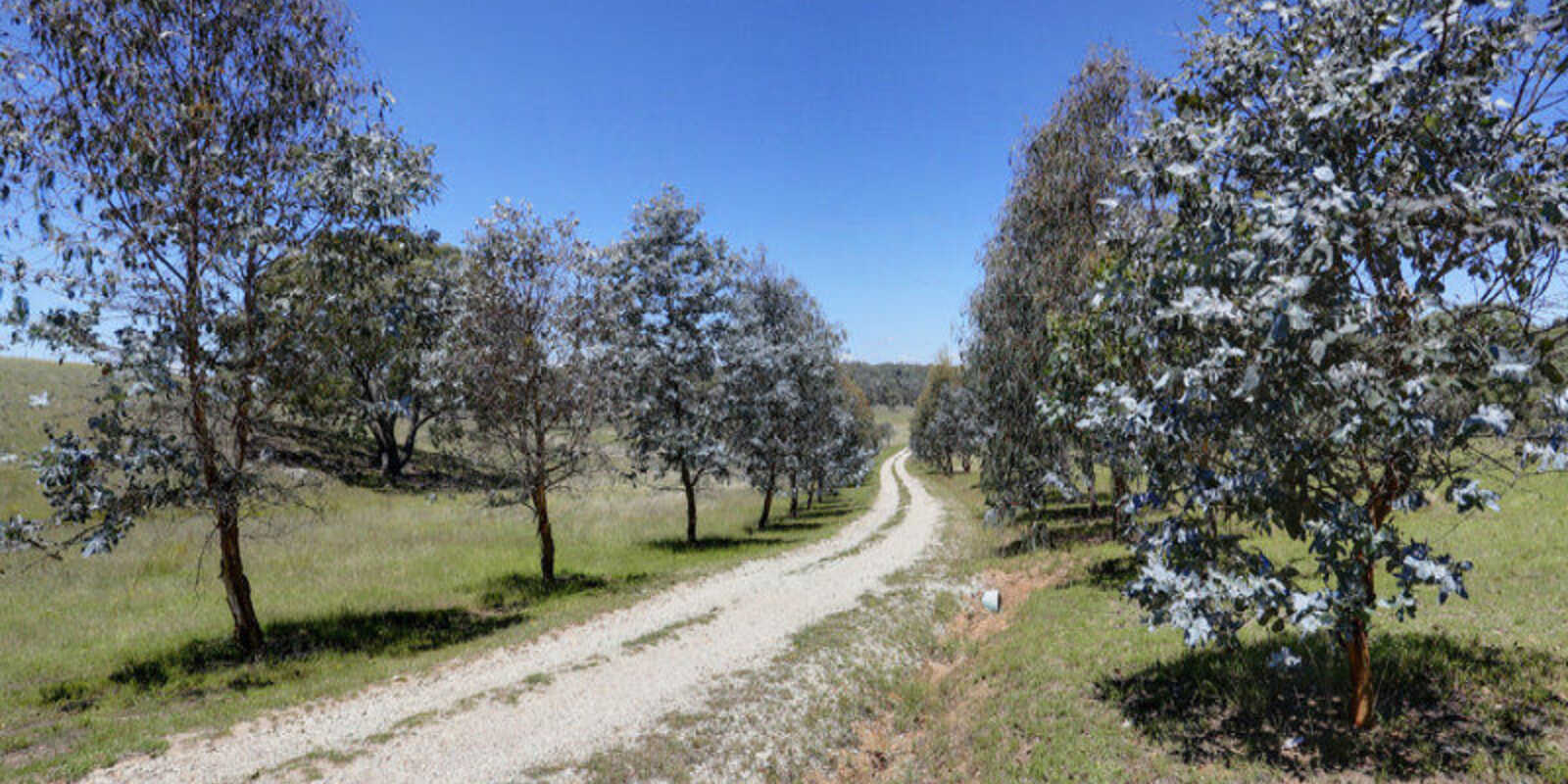 33 Ravenswood Road Goulburn