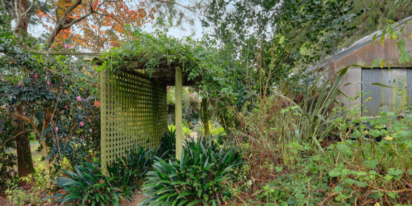 66 Watson Road Moss Vale