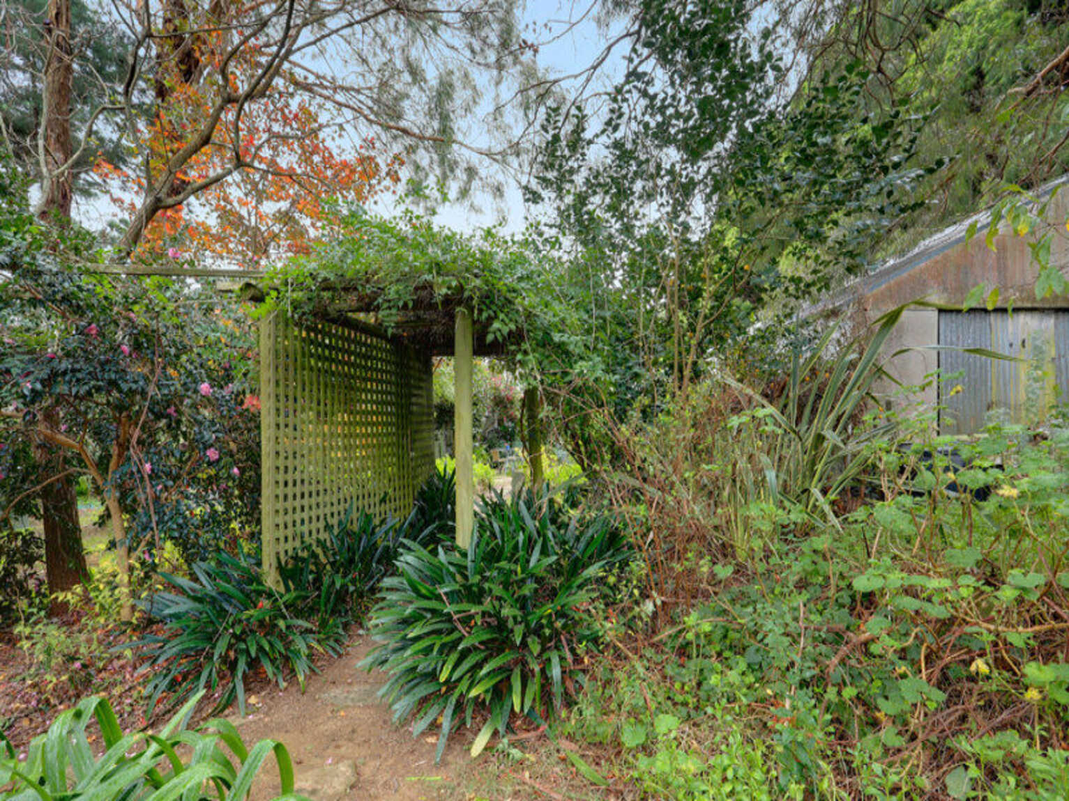 66 Watson Road Moss Vale