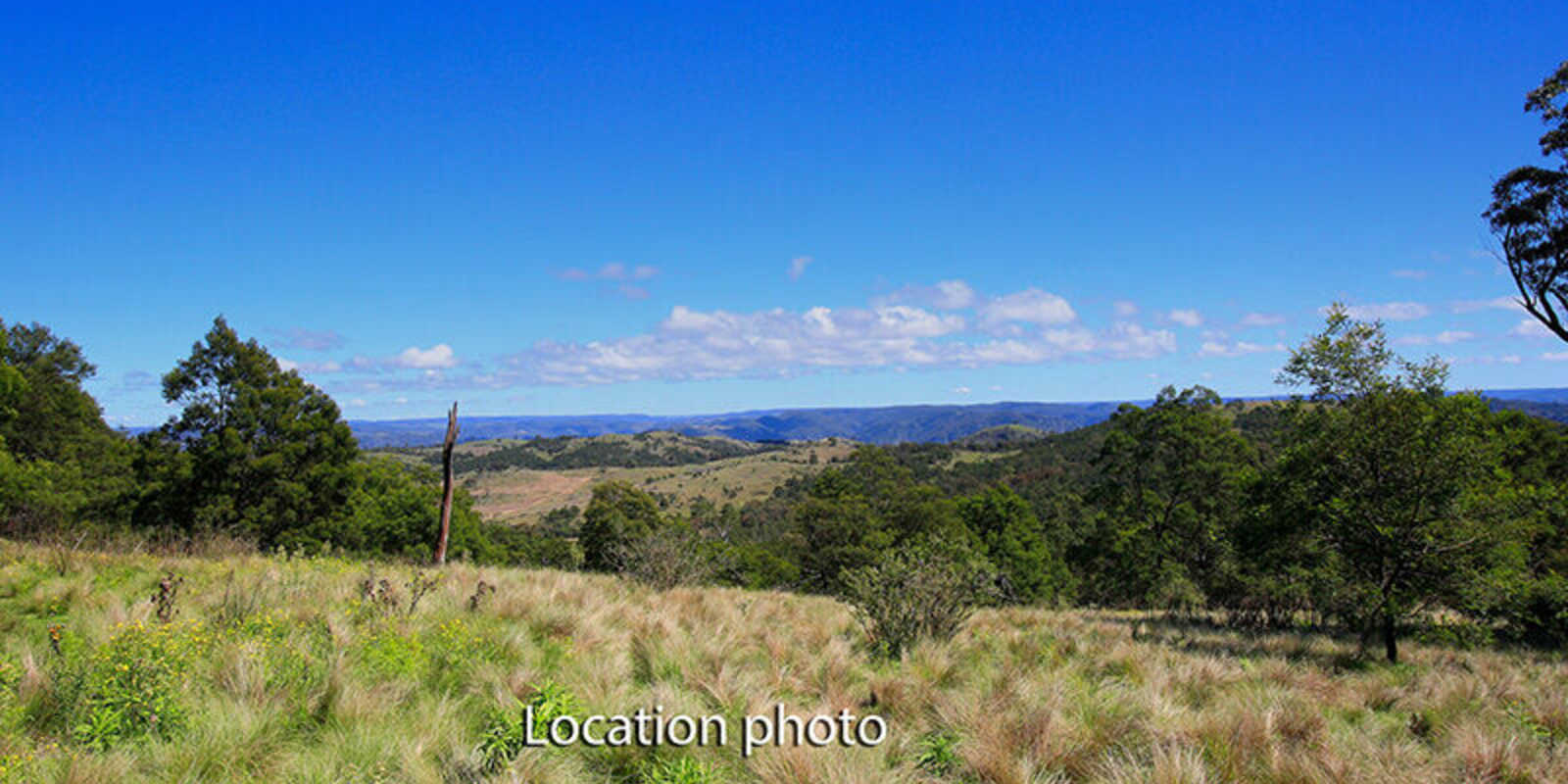 2952 Wombeyan Caves Road Bullio
