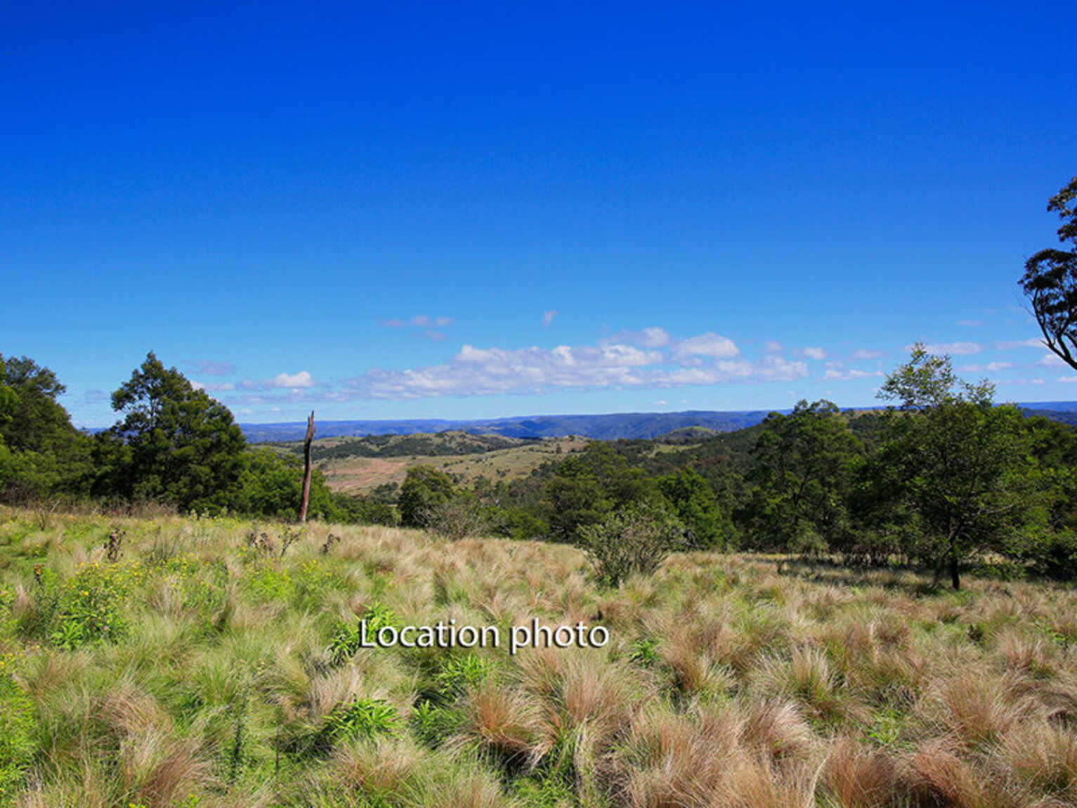 2952 Wombeyan Caves Road Bullio
