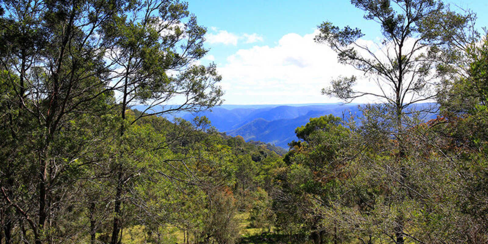 2952 Wombeyan Caves Road Bullio
