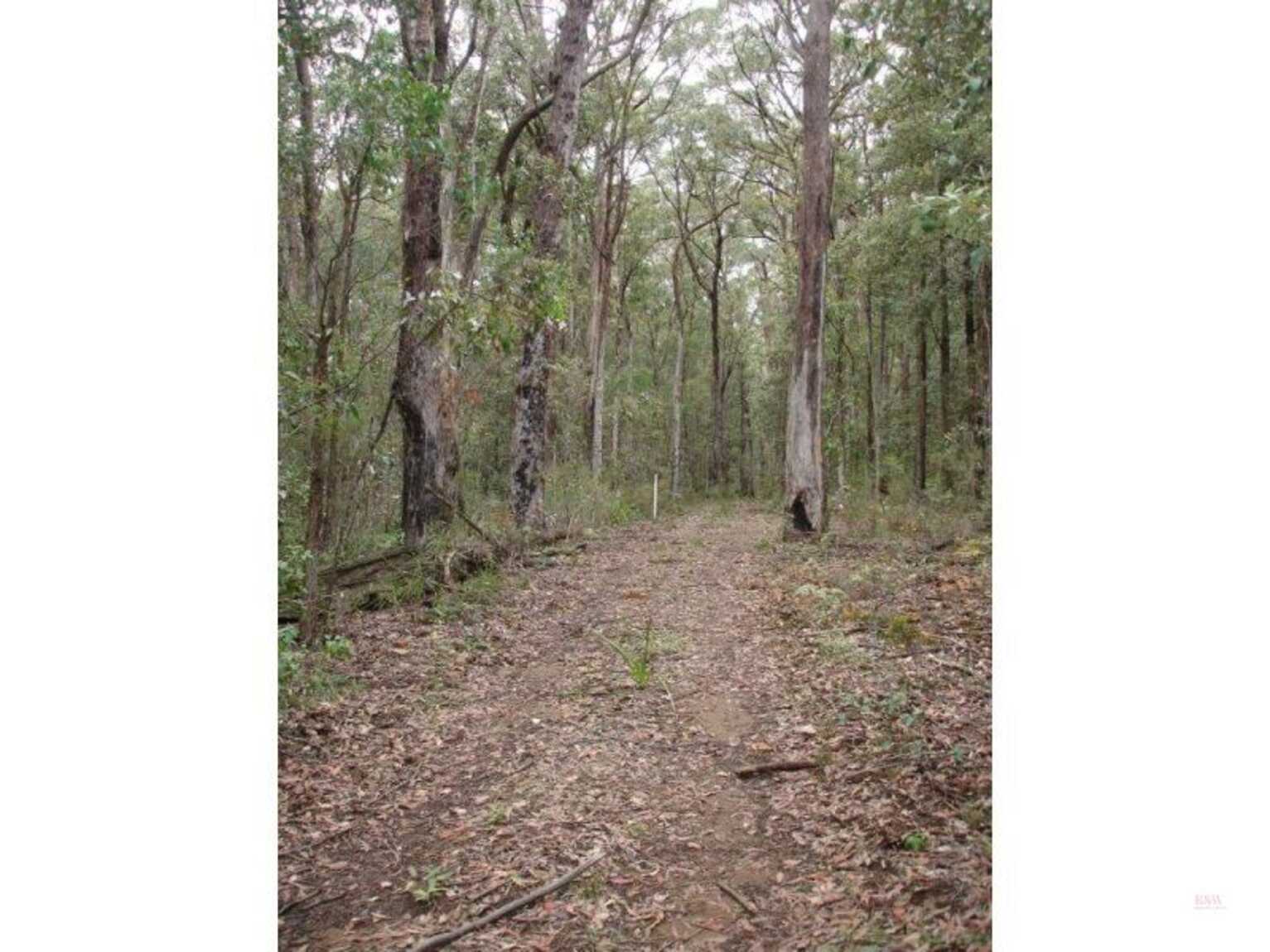 411 Spring Hill Road Meryla