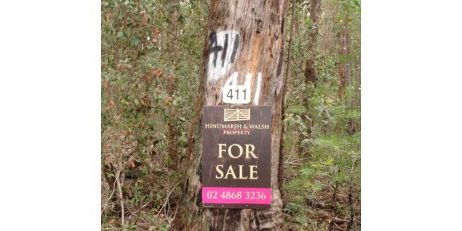 411 Spring Hill Road Meryla
