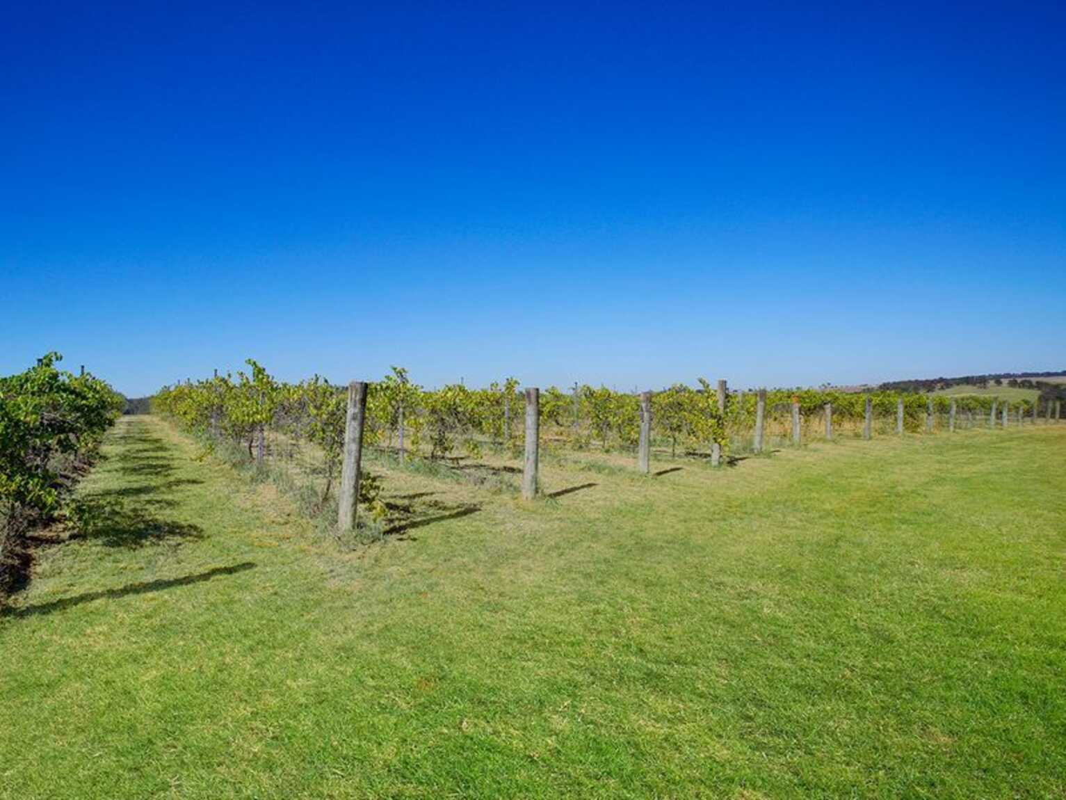 25 Springhill Grove Sutton Forest