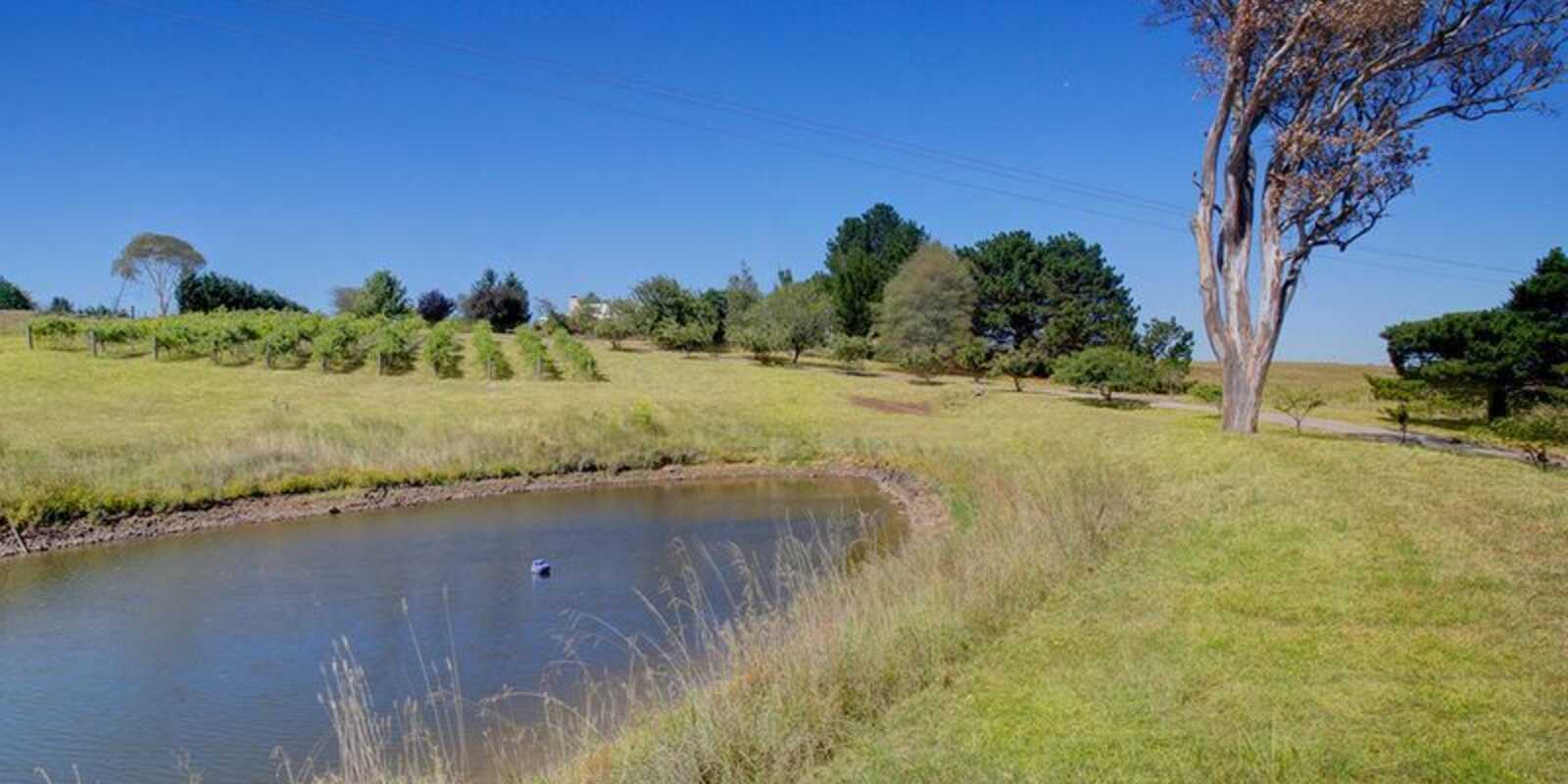 25 Springhill Grove Sutton Forest
