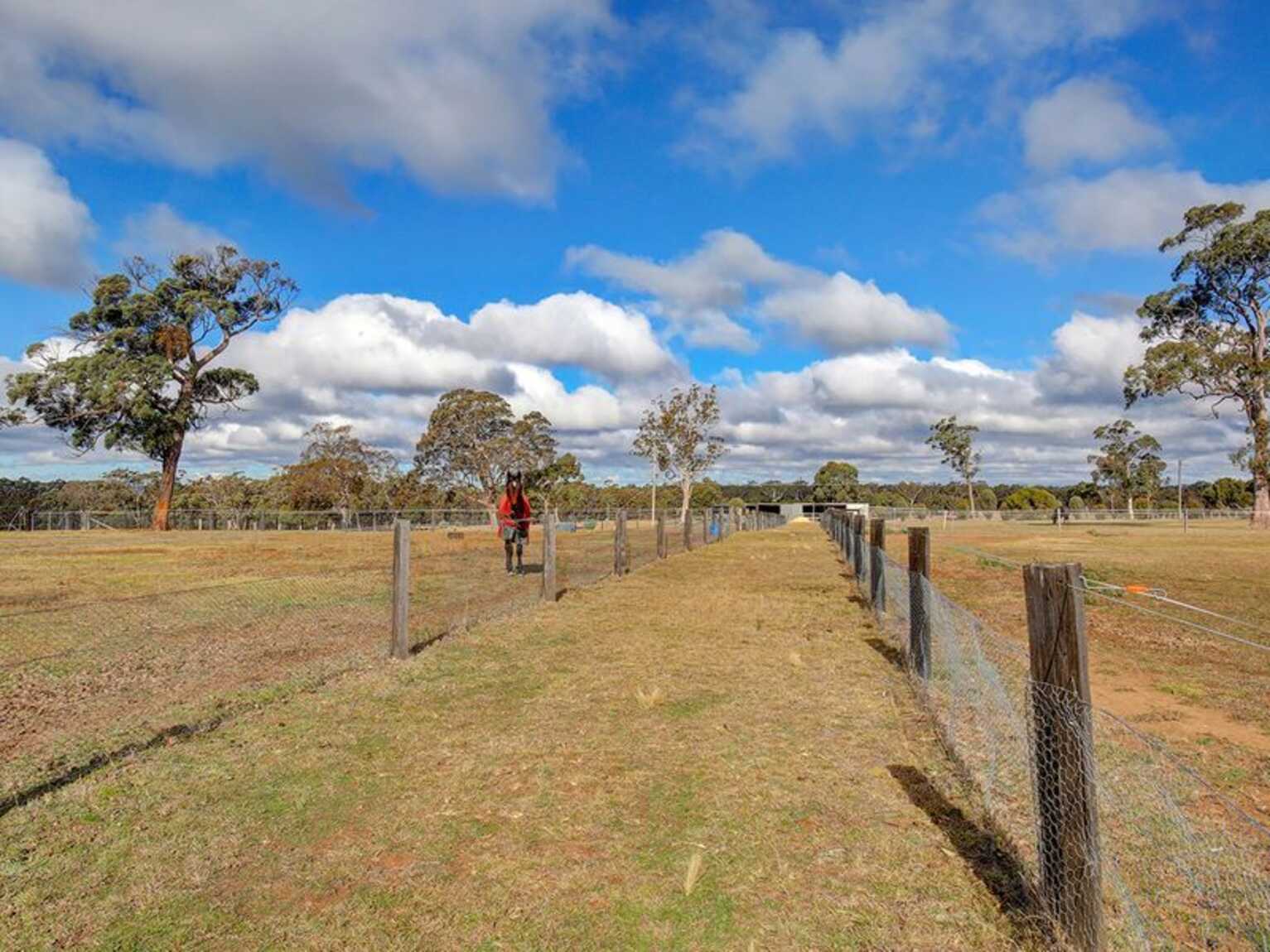 2161 Wombeyan Caves Road High Range