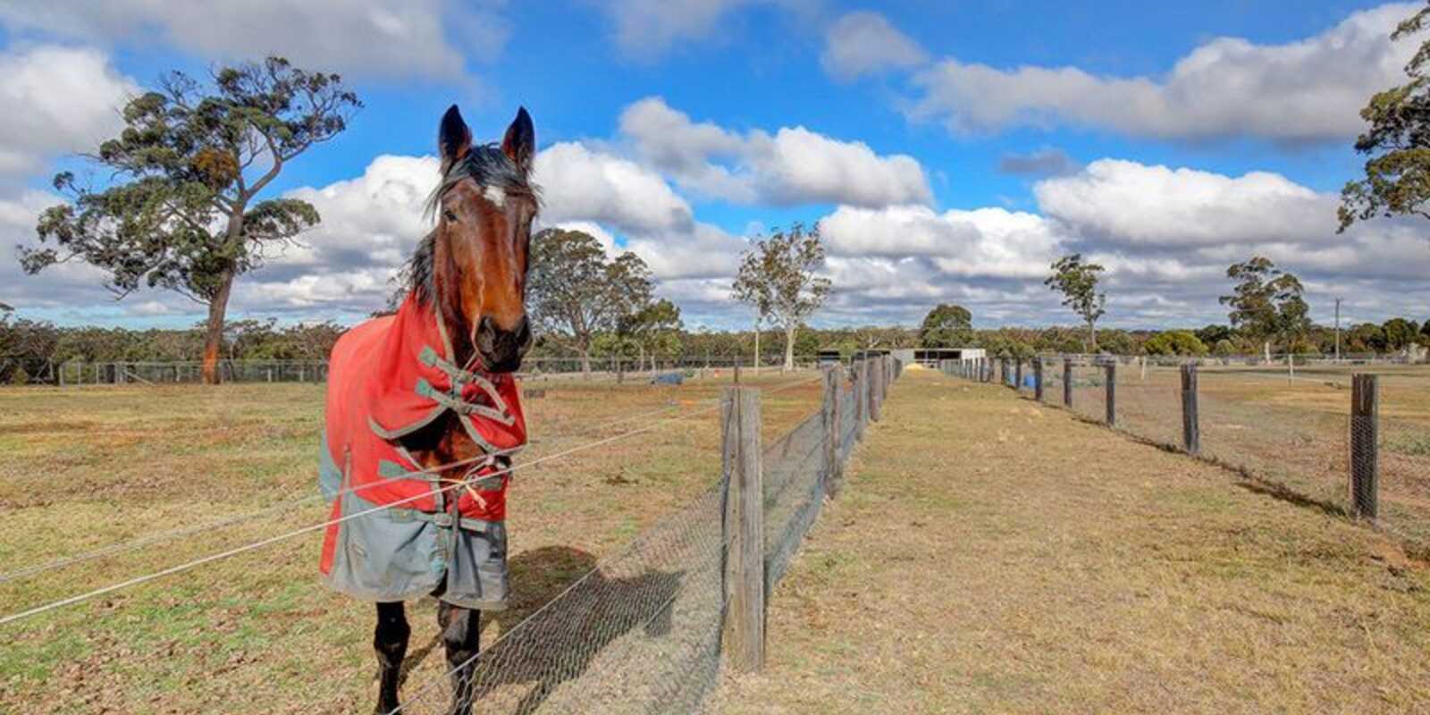 2161 Wombeyan Caves Road High Range