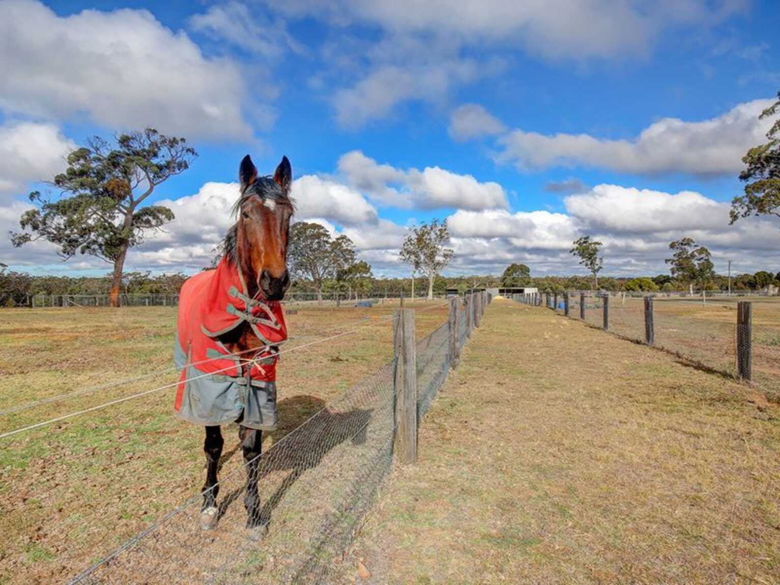 2161 Wombeyan Caves Road High Range