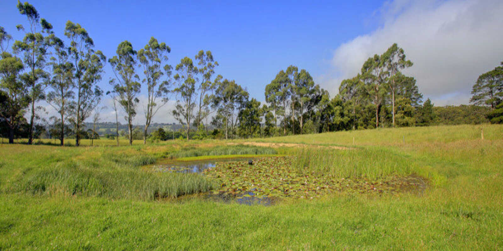 8 Church Street Burrawang
