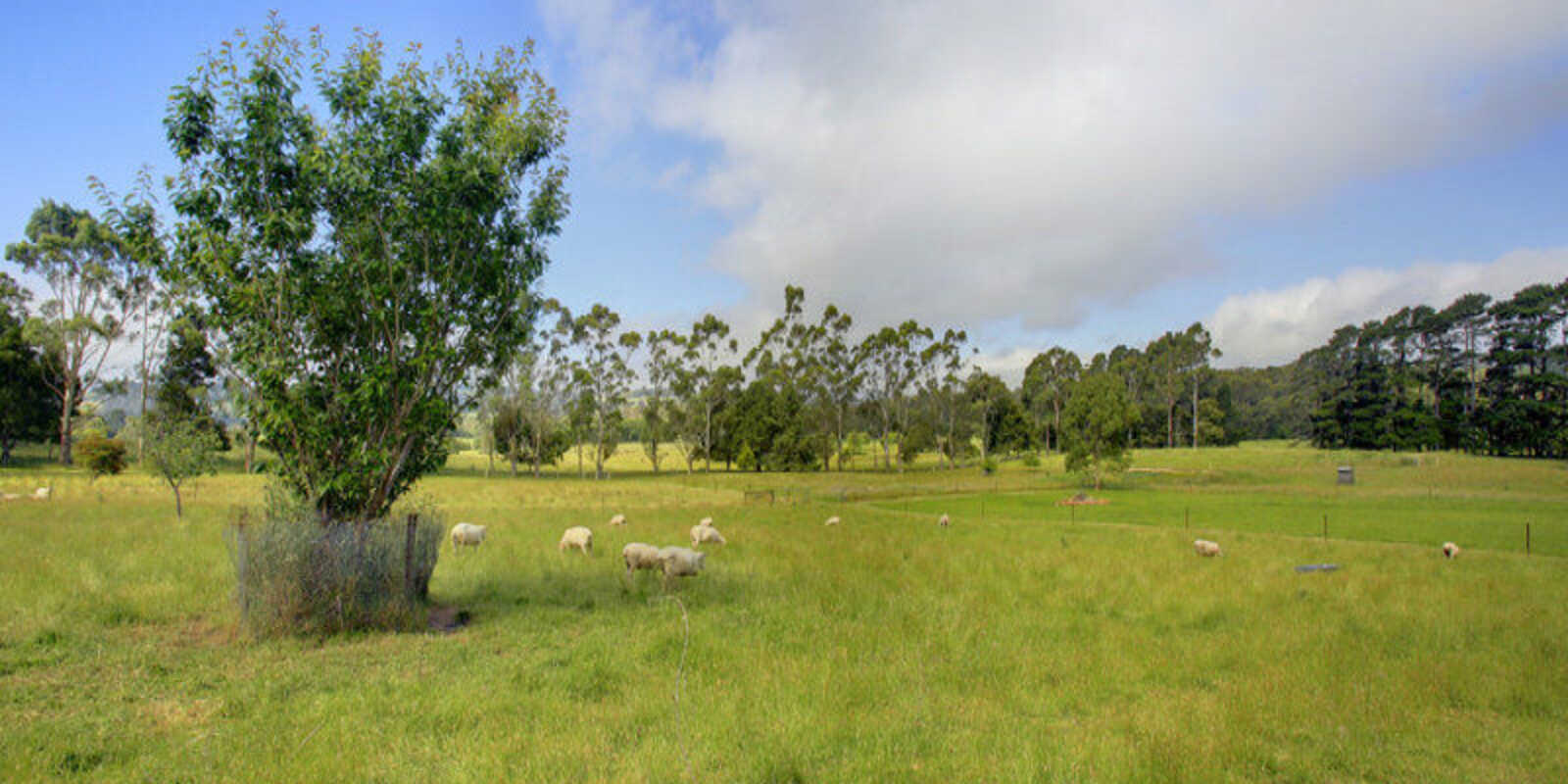 8 Church Street Burrawang