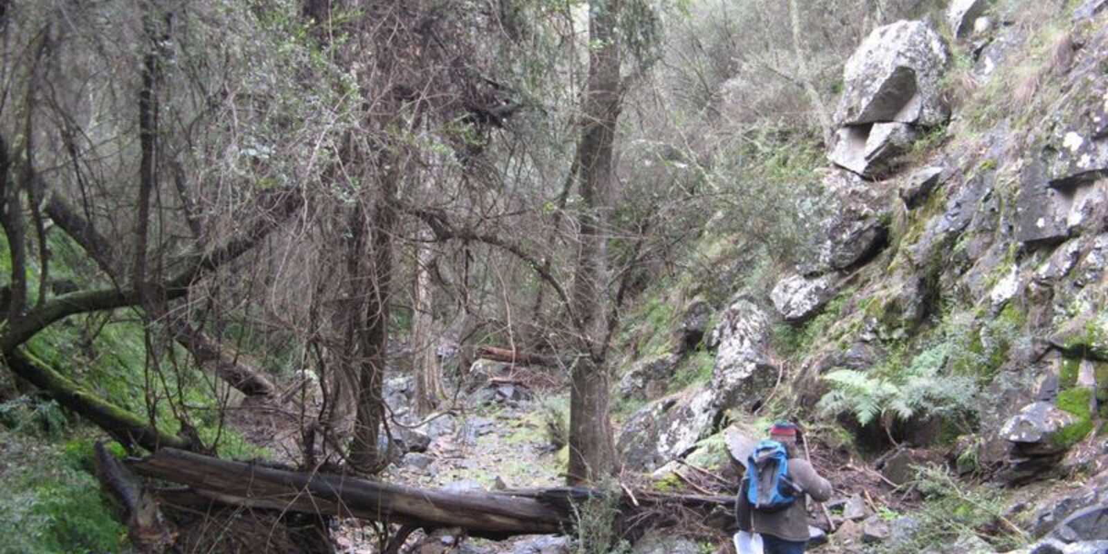 171 Pulpit Rock Road Bullio