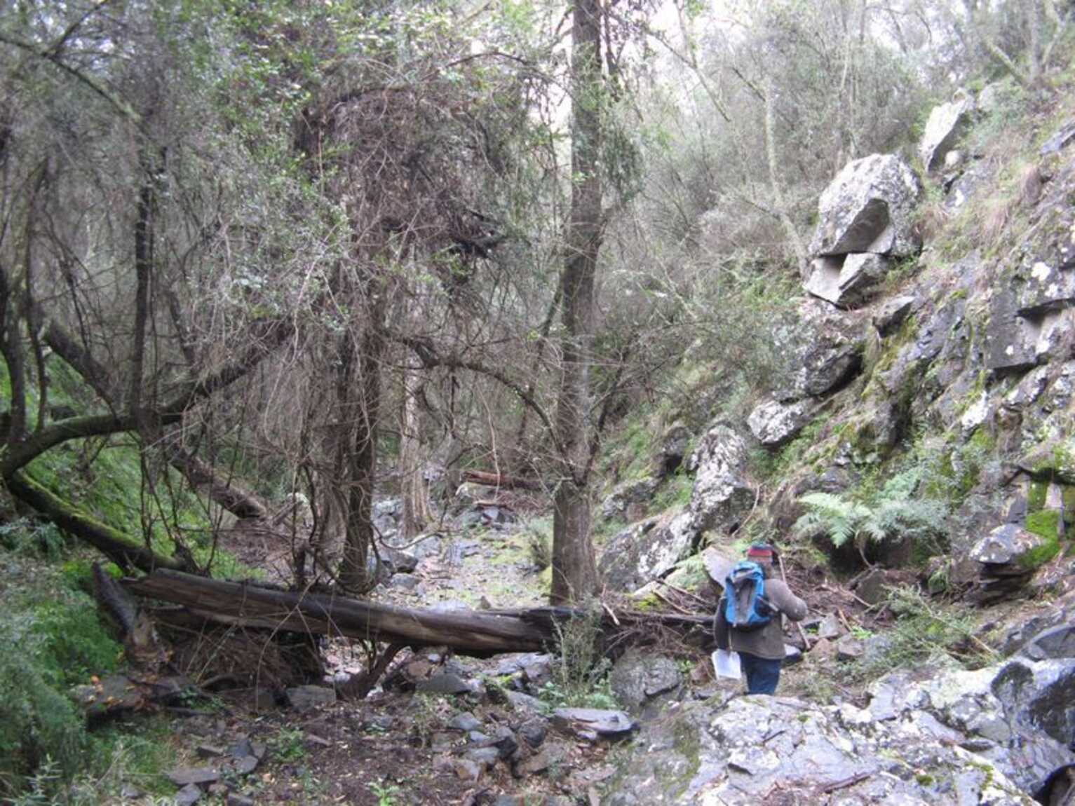 171 Pulpit Rock Road Bullio