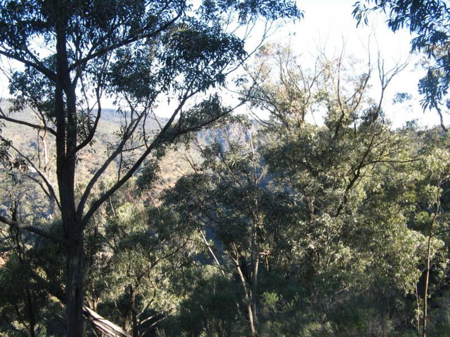 171 Pulpit Rock Road Bullio