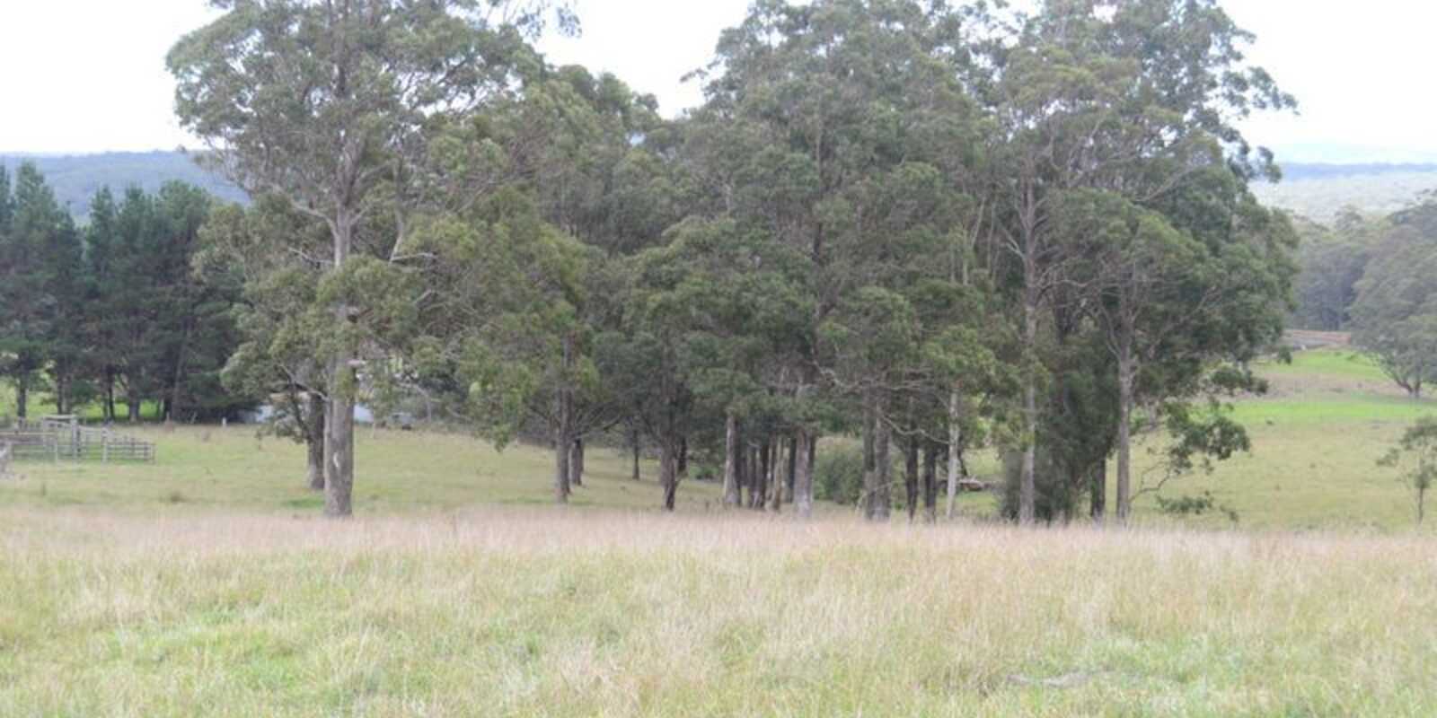133 Orfords Lane East Kangaloon