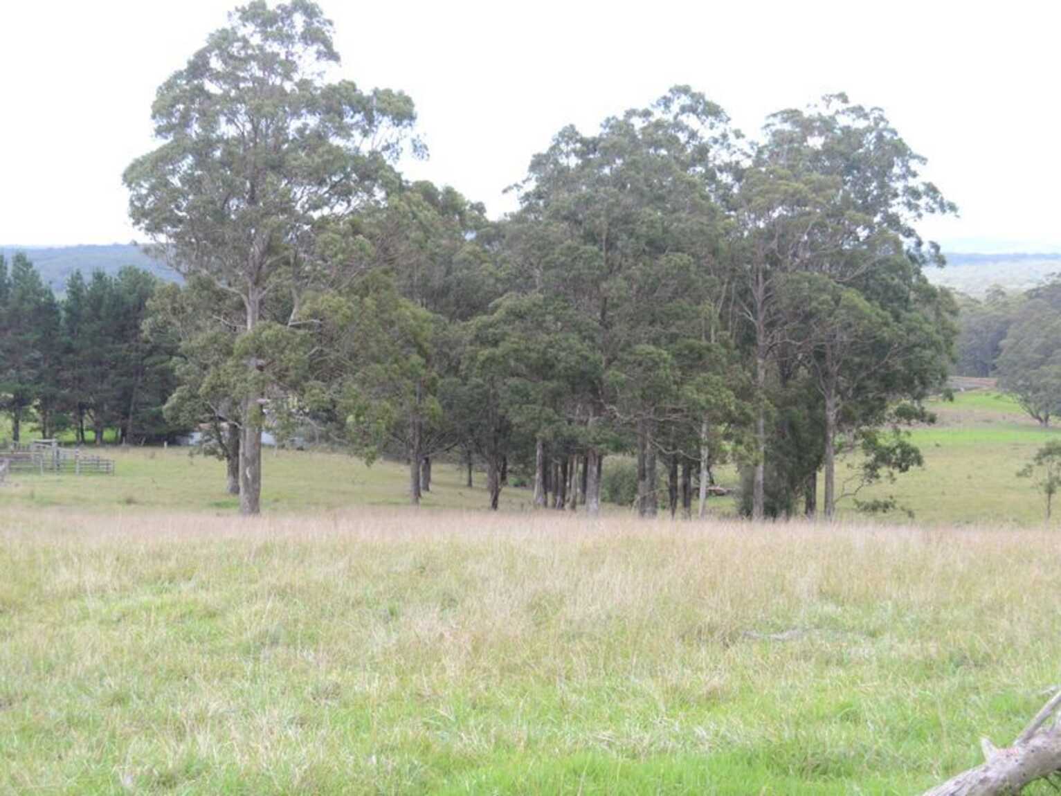133 Orfords Lane East Kangaloon