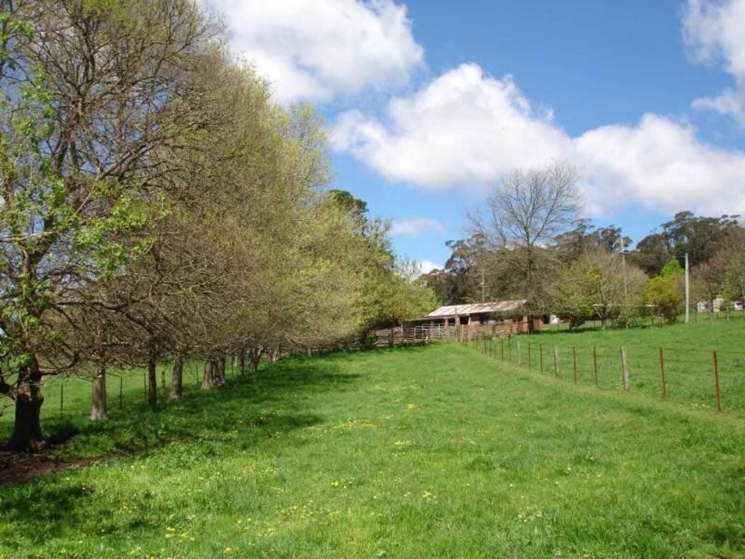 170 Walkers Road Avoca 170 Walkers Road Avoca