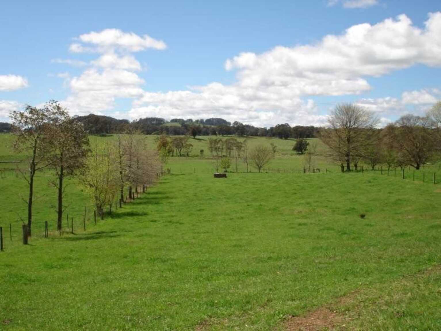 170 Walkers Road Avoca 170 Walkers Road Avoca
