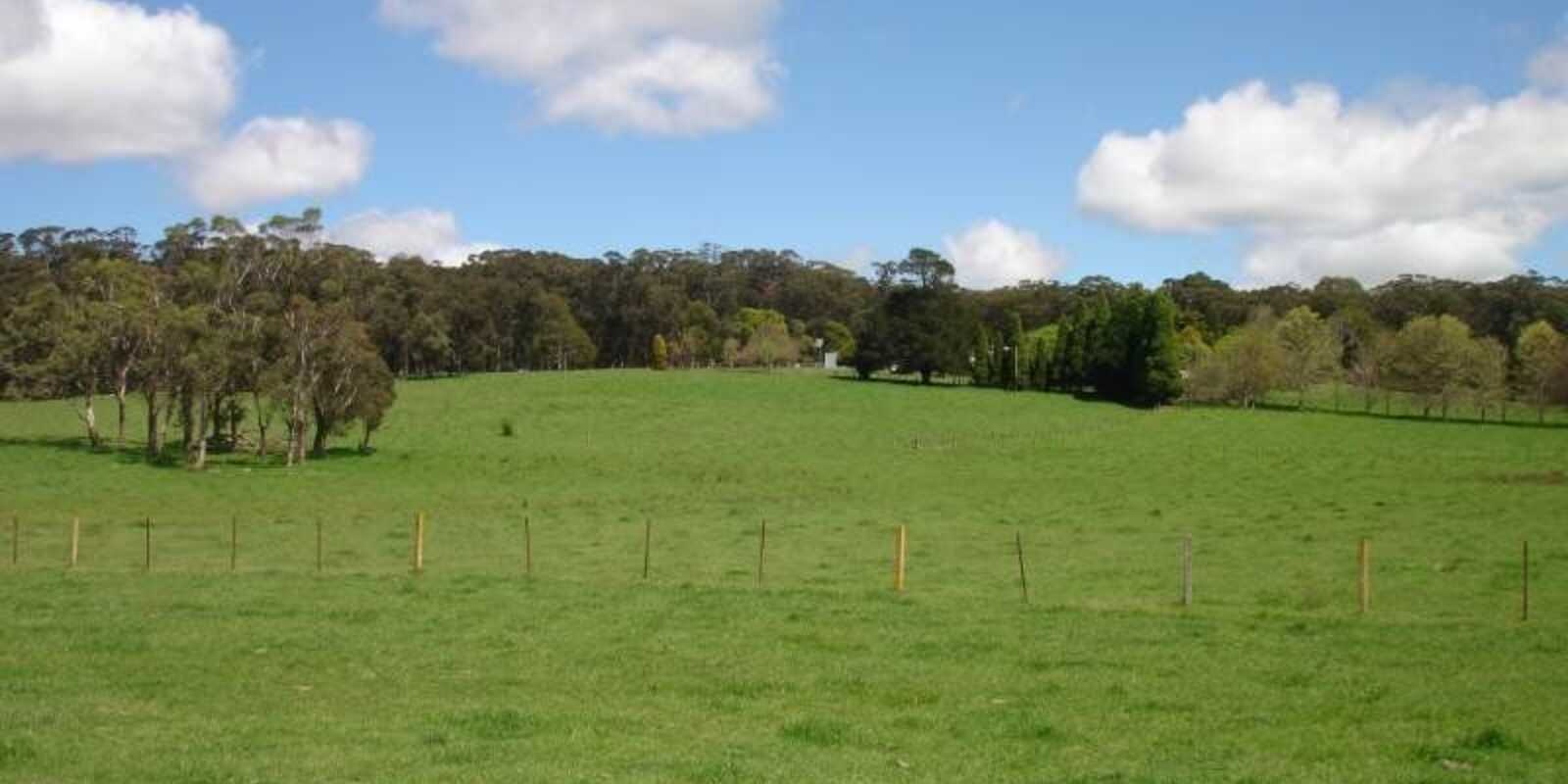 170 Walkers Road Avoca 170 Walkers Road Avoca