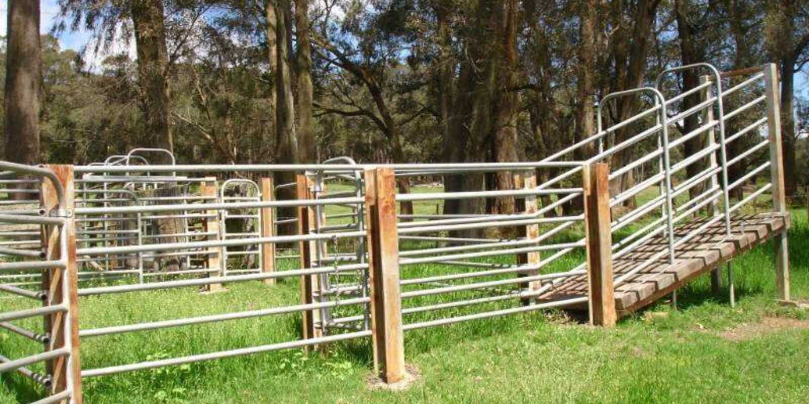 170 Walkers Road Avoca 170 Walkers Road Avoca