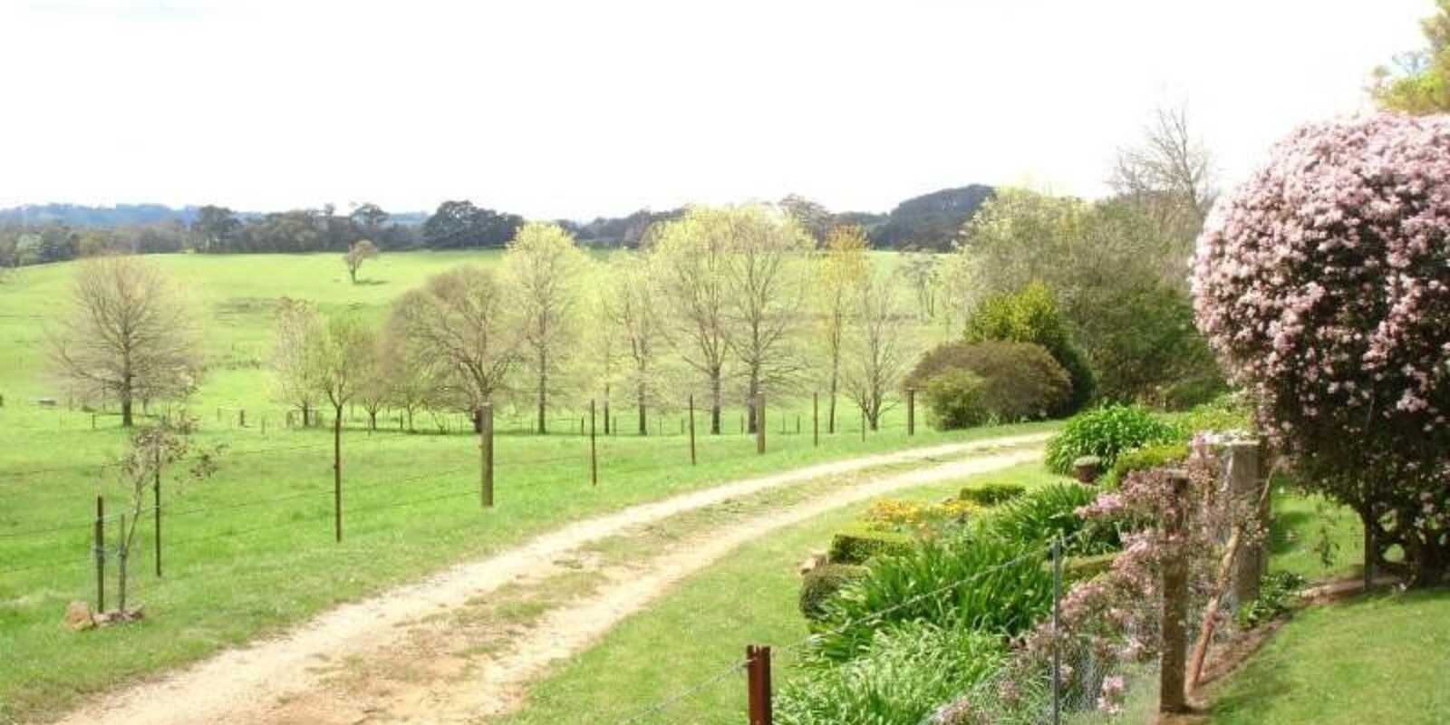 170 Walkers Road Avoca 170 Walkers Road Avoca