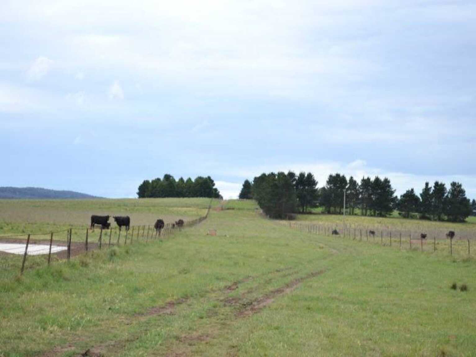 2563 'Summer Dell Pastoral' Lumley Lake Bathurst 2563 'Summer Dell Pastoral' Lumley Lake Bathurst