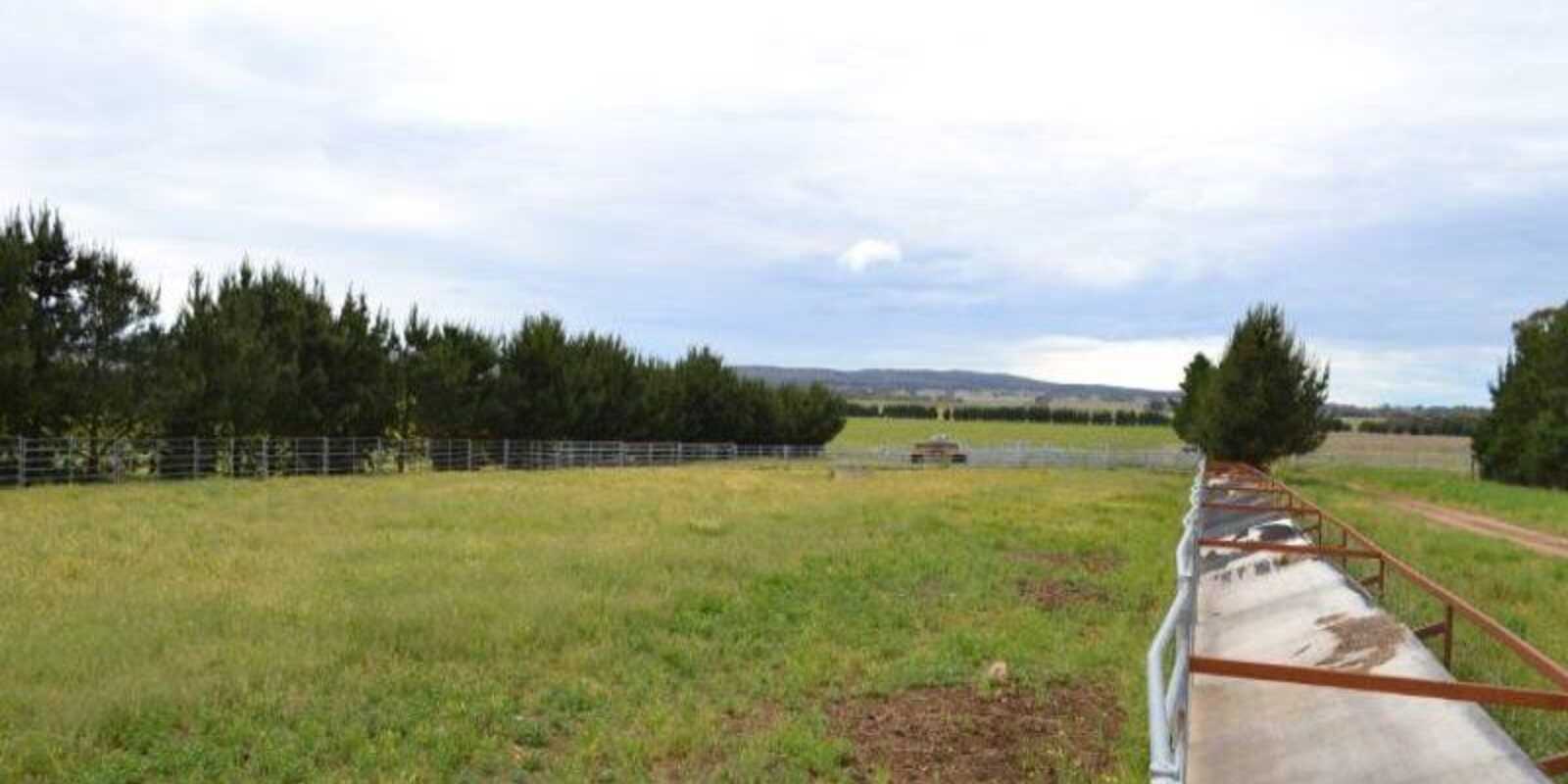 2563 'Summer Dell Pastoral' Lumley Lake Bathurst 2563 'Summer Dell Pastoral' Lumley Lake Bathurst