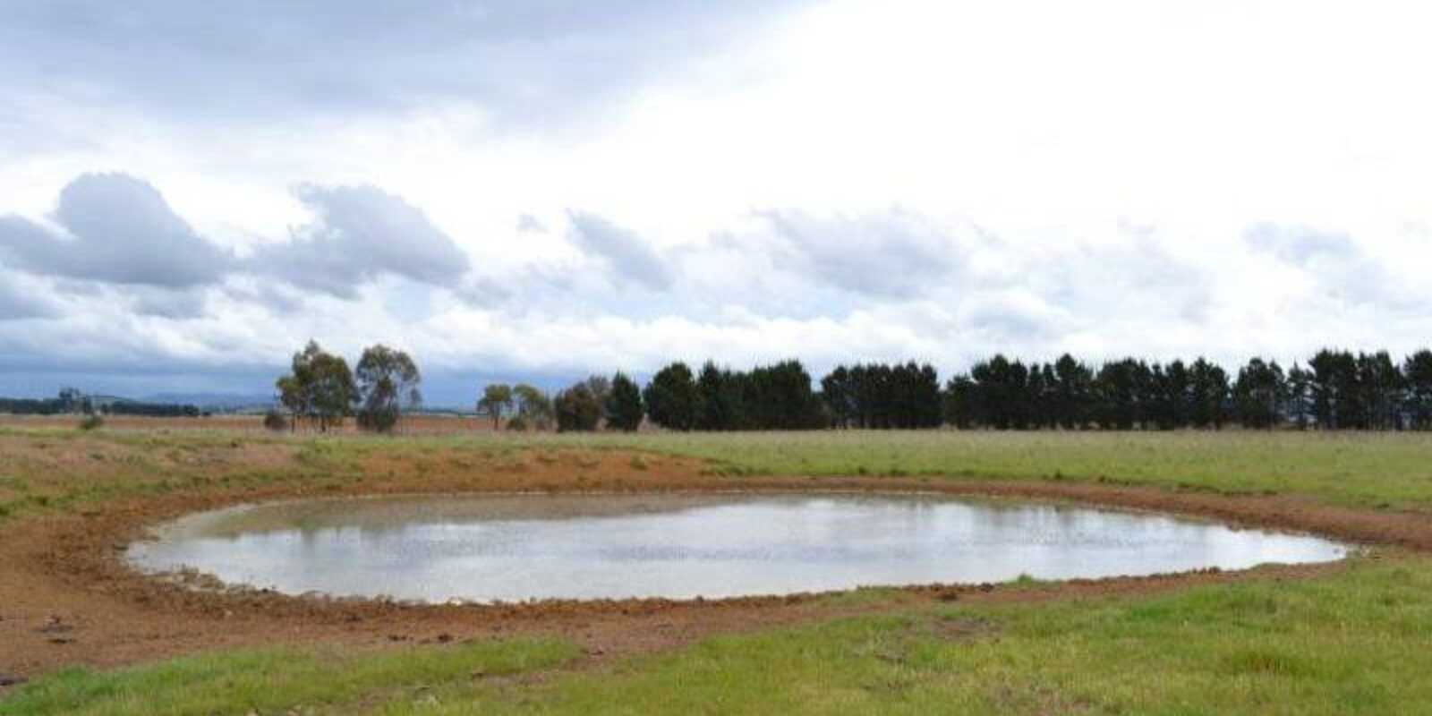2563 'Summer Dell Pastoral' Lumley Lake Bathurst 2563 'Summer Dell Pastoral' Lumley Lake Bathurst