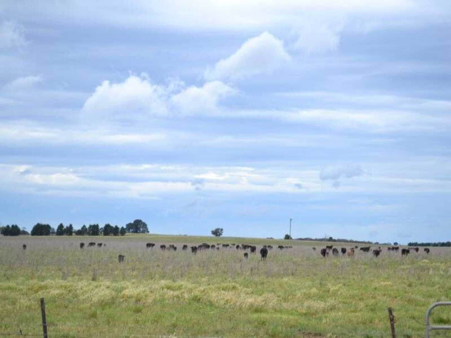 2563 'Summer Dell Pastoral' Lumley Lake Bathurst 2563 'Summer Dell Pastoral' Lumley Lake Bathurst