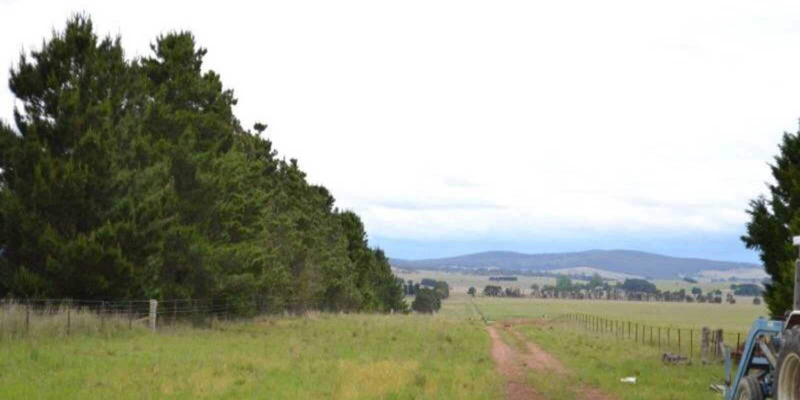2563 'Summer Dell Pastoral' Lumley Lake Bathurst 2563 'Summer Dell Pastoral' Lumley Lake Bathurst