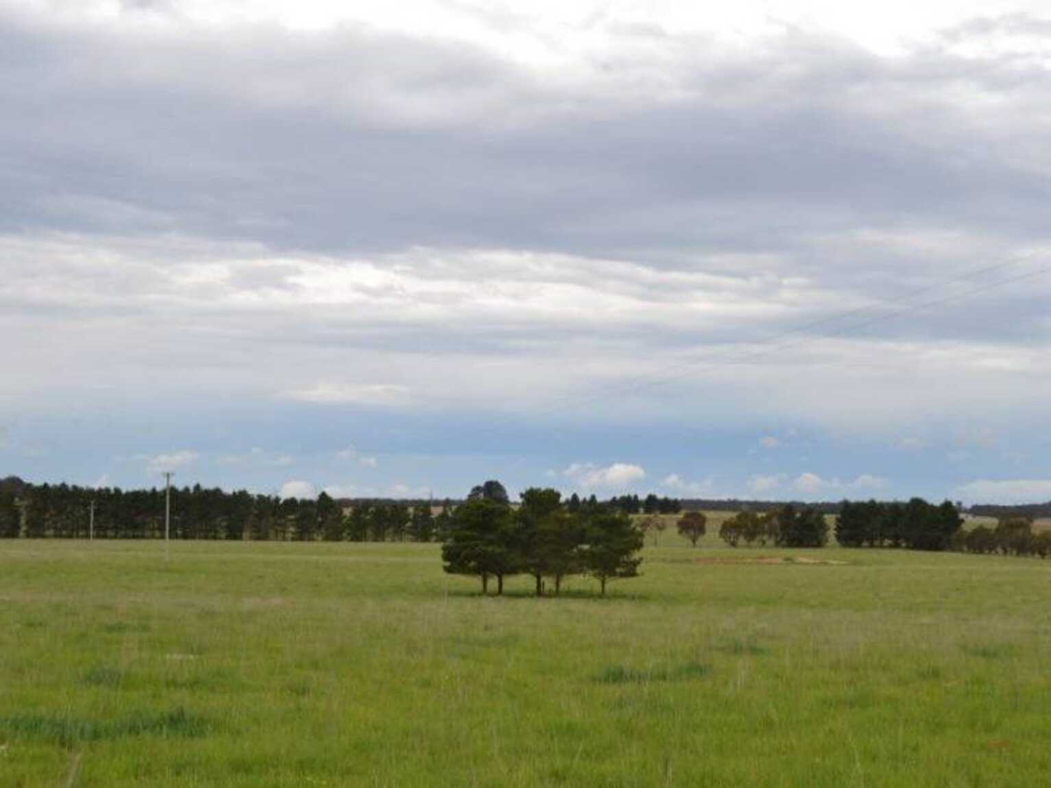 2563 'Summer Dell Pastoral' Lumley Lake Bathurst 2563 'Summer Dell Pastoral' Lumley Lake Bathurst