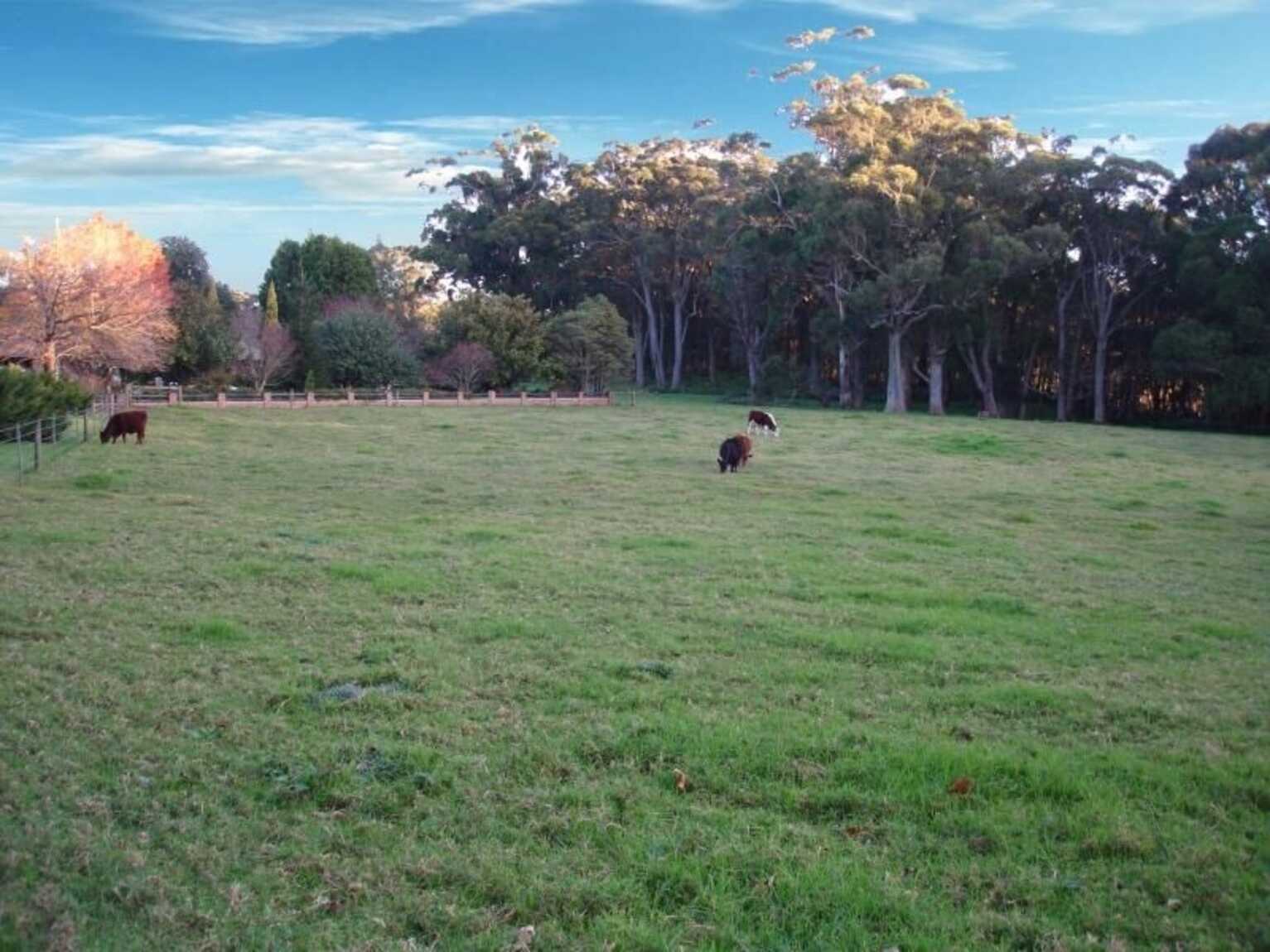  Laurel Hill Myra Vale Wildes Meadow