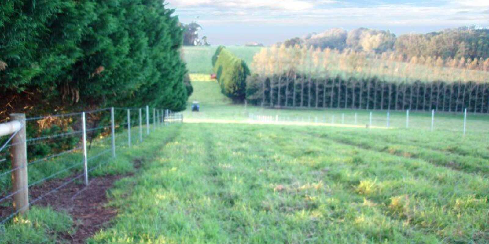  Laurel Hill Myra Vale Wildes Meadow
