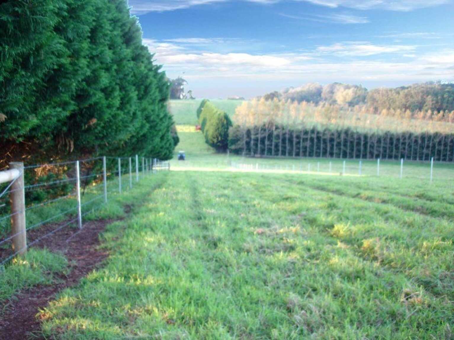  Laurel Hill Myra Vale Wildes Meadow