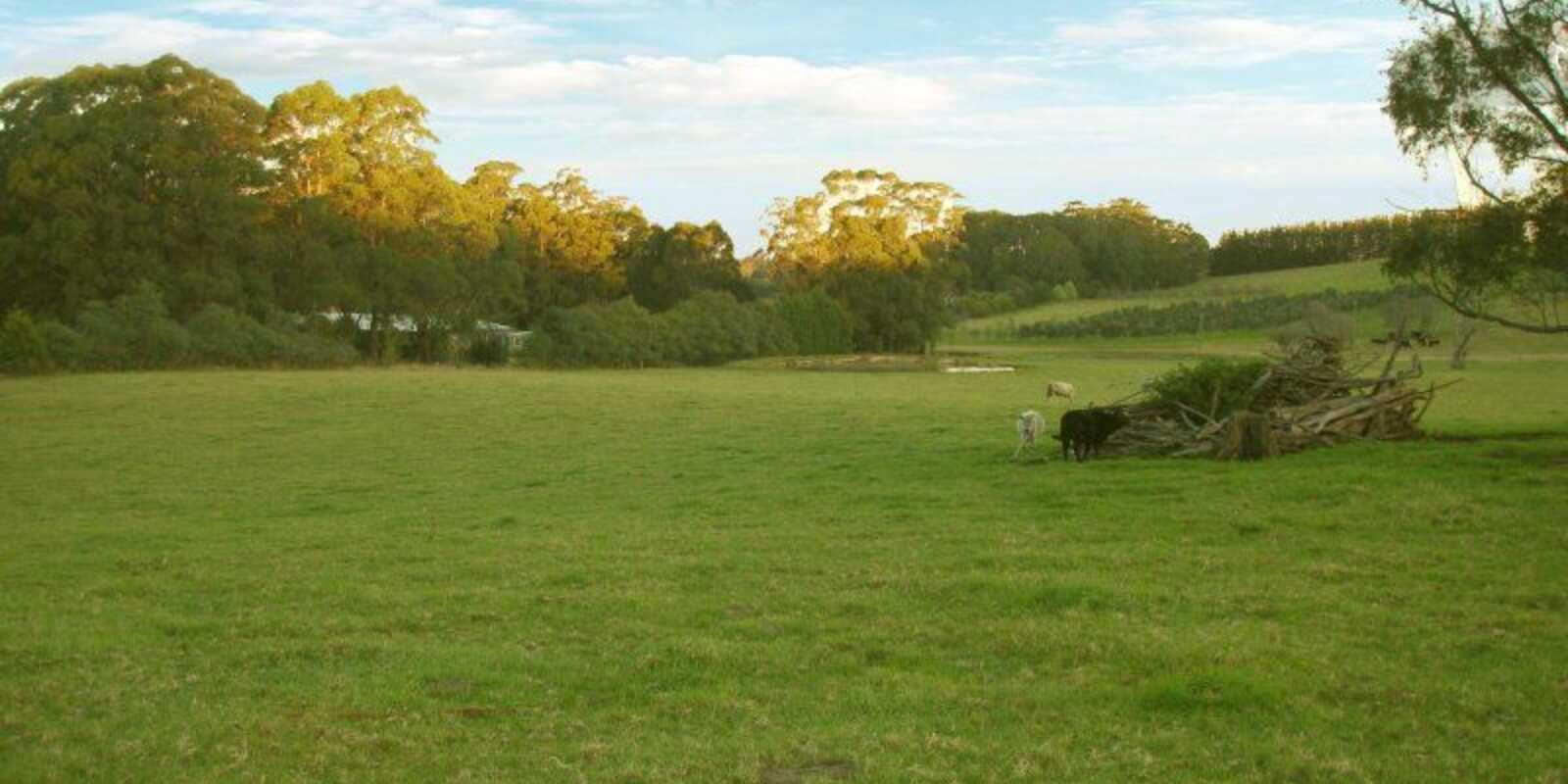  Laurel Hill Myra Vale Wildes Meadow