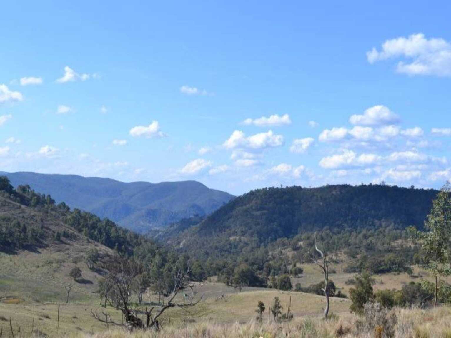 116 Pheasant Gully Road Bullio