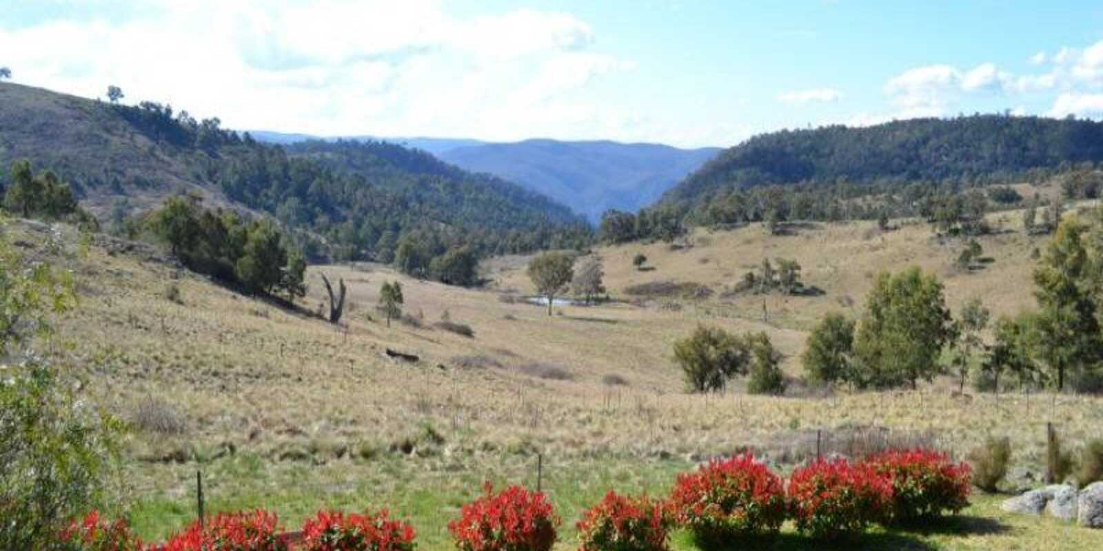 116 Pheasant Gully Road Bullio
