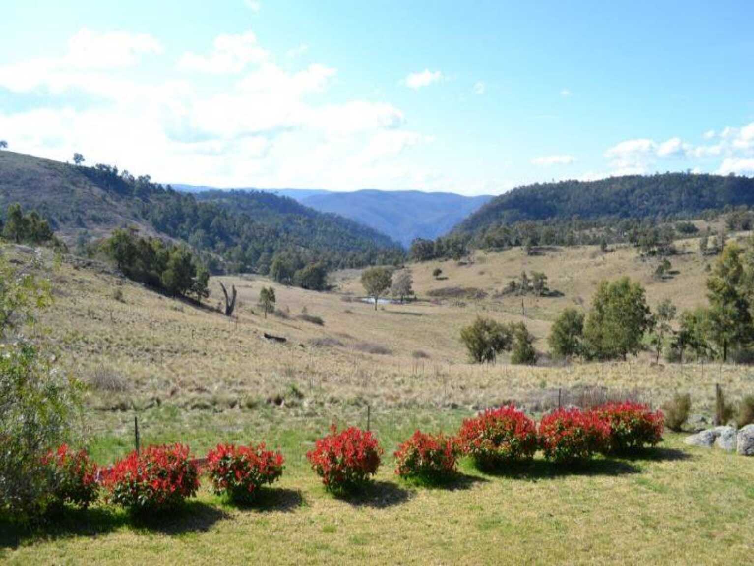 116 Pheasant Gully Road Bullio